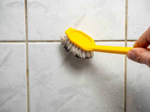 Best Office Mold Removal Services  in Hoquiam, WA