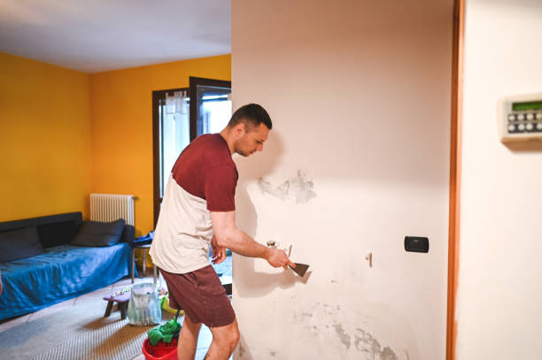 Best Same-Day Mold Removal  in Hoquiam, WA